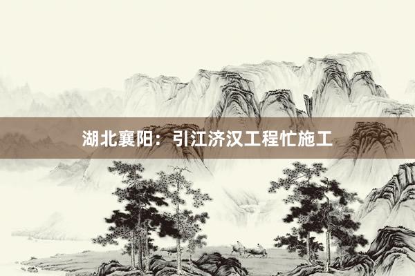 湖北襄阳：引江济汉工程忙施工