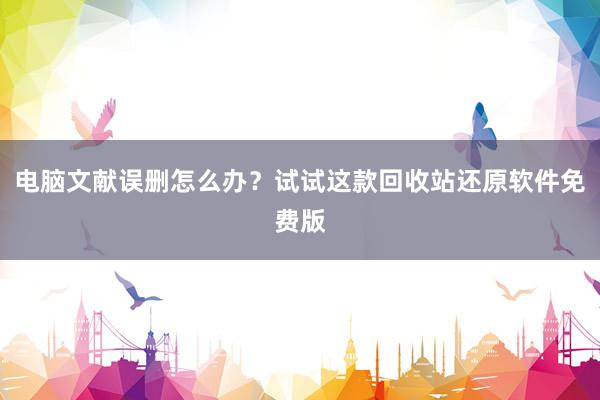 电脑文献误删怎么办？试试这款回收站还原软件免费版