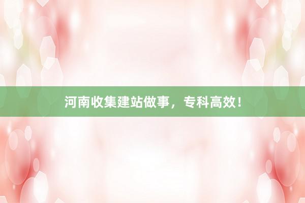 河南收集建站做事，专科高效！