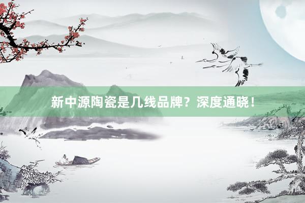 新中源陶瓷是几线品牌？深度通晓！