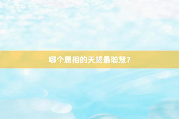 哪个属相的天蝎最聪慧？