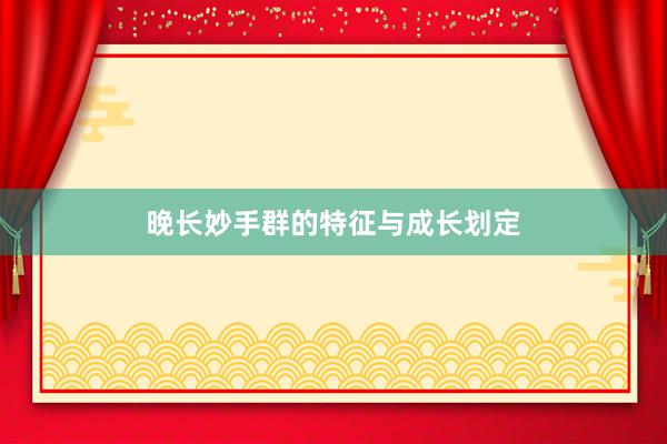 晚长妙手群的特征与成长划定