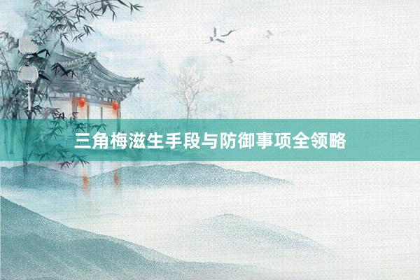 三角梅滋生手段与防御事项全领略