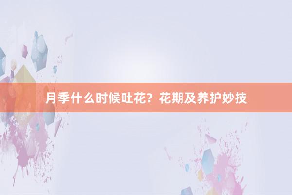月季什么时候吐花？花期及养护妙技