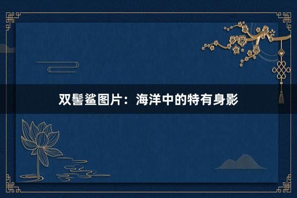 双髻鲨图片：海洋中的特有身影